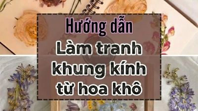 Làm tranh khung kính từ hoa ép khô (Pressed Flower Art)