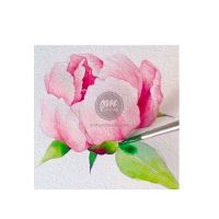 Hãy cùng PM vẽ hoa Peony nhé !