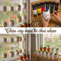 Chậu cây mini đơn giản từ chai nhựa