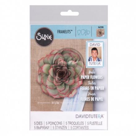 Khuôn cắt Sizzix hoa xương rồng size Lớn