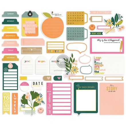 Bộ hình cắt mẫu Journal 43 miếng