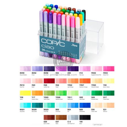 Bộ bút Copic ciao 36 màu set A